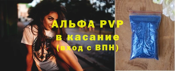 ПСИЛОЦИБИНОВЫЕ ГРИБЫ Сясьстрой