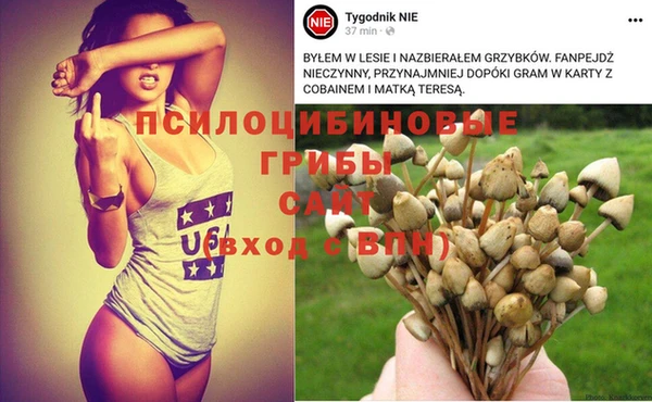 прущая мука Белоозёрский