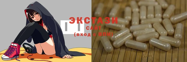 ECSTASY Богданович