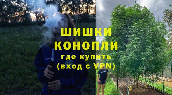 тгк Белокуриха
