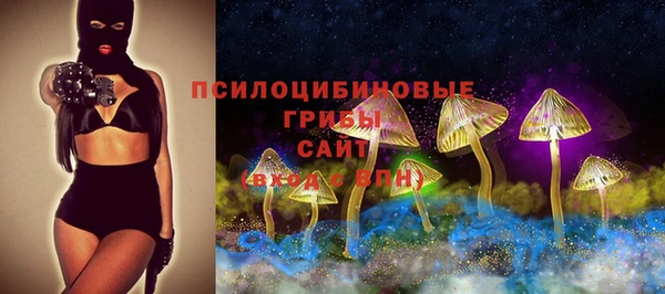 марихуана Богородицк