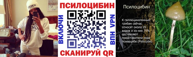 купить   Кирово-Чепецк  Галлюциногенные грибы GOLDEN TEACHER 